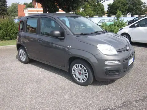 Annonce FIAT PANDA Hybride 2021 d'occasion 