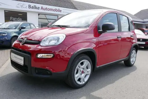 Used FIAT PANDA Petrol 2024 Ad 