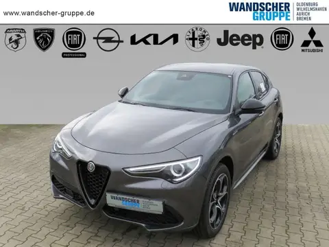 Used ALFA ROMEO STELVIO Petrol 2022 Ad 