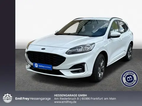 Annonce FORD KUGA Hybride 2024 d'occasion 