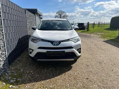 Used TOYOTA RAV4 Hybrid 2016 Ad Germany