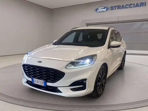 Used FORD KUGA Diesel 2021 Ad 