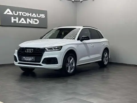 Used AUDI Q5 Diesel 2019 Ad 