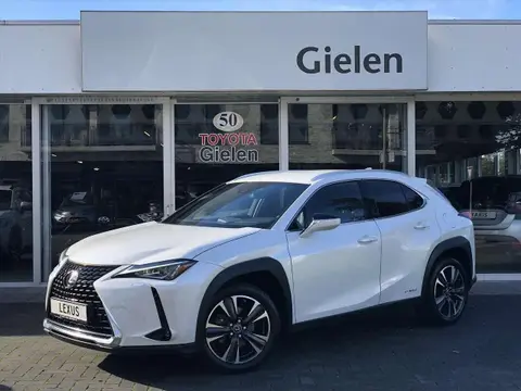 Used LEXUS UX Hybrid 2022 Ad 