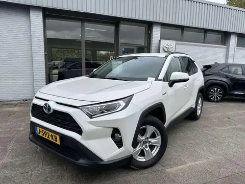 Used TOYOTA RAV4 Hybrid 2019 Ad 