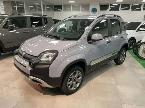 Used FIAT PANDA Petrol 2023 Ad 