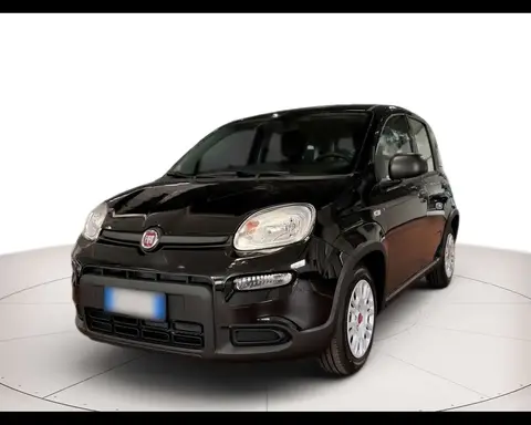 Used FIAT PANDA Petrol 2024 Ad 