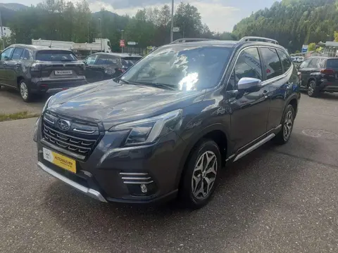 Annonce SUBARU FORESTER Essence 2024 d'occasion 