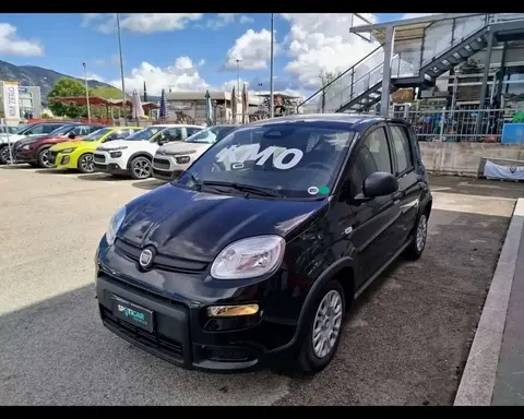 Used FIAT PANDA Hybrid 2024 Ad 