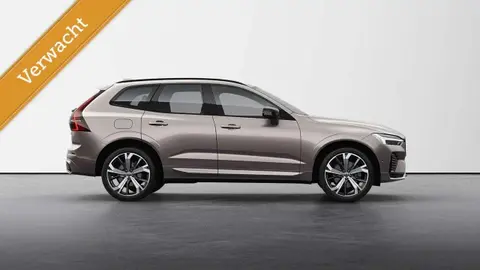 Used VOLVO XC60 Hybrid 2024 Ad 