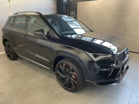 Used CUPRA ATECA Petrol 2023 Ad 