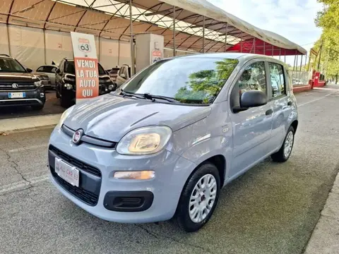 Annonce FIAT PANDA Essence 2018 d'occasion 