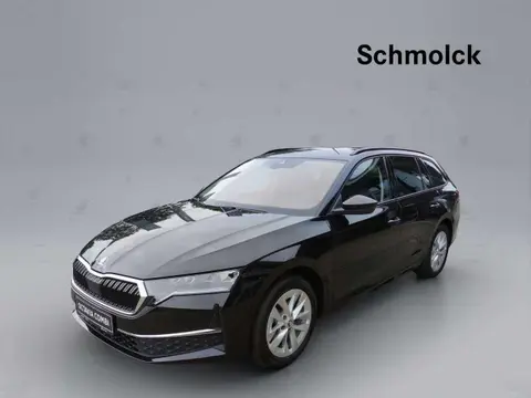 Annonce SKODA OCTAVIA Diesel 2024 d'occasion 