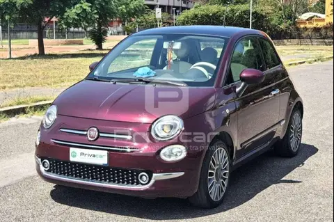 Used FIAT 500 Petrol 2017 Ad 