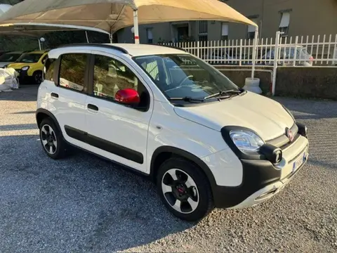 Used FIAT PANDA Hybrid 2023 Ad 