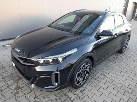 Annonce KIA XCEED Essence 2024 d'occasion 