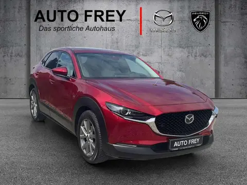 Annonce MAZDA CX-30 Essence 2020 d'occasion 