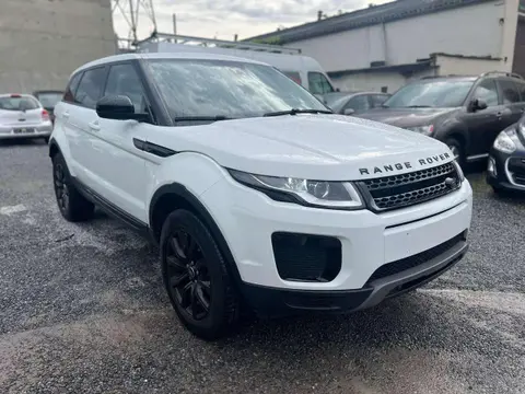 Used LAND ROVER RANGE ROVER EVOQUE Diesel 2019 Ad 