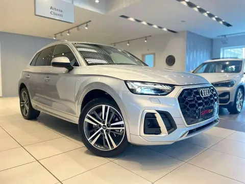 Used AUDI Q5 Hybrid 2021 Ad 