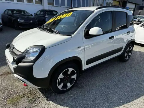 Annonce FIAT PANDA Hybride 2024 d'occasion 