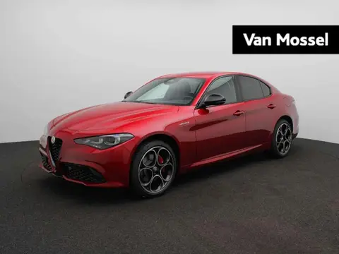 Used ALFA ROMEO GIULIA Petrol 2024 Ad 