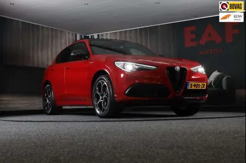 Annonce ALFA ROMEO STELVIO Essence 2021 d'occasion 