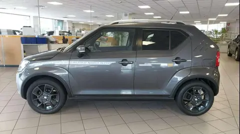 Used SUZUKI IGNIS Hybrid 2020 Ad 