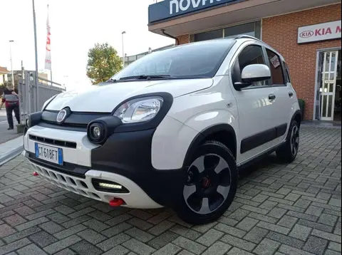 Used FIAT PANDA Hybrid 2024 Ad 