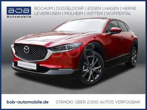 Annonce MAZDA CX-30 Essence 2024 d'occasion 