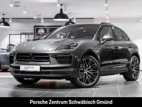 Used PORSCHE MACAN Petrol 2024 Ad 