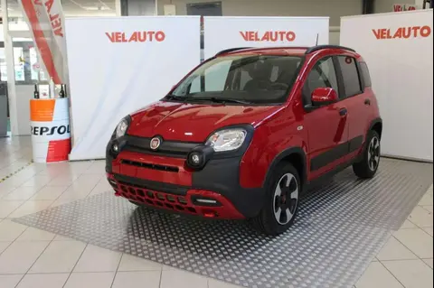 Used FIAT PANDA Hybrid 2024 Ad 