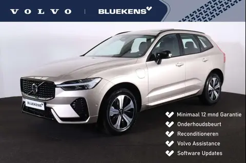 Annonce VOLVO XC60 Hybride 2024 d'occasion 