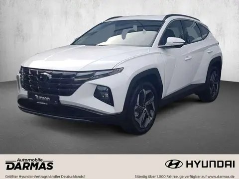 Used HYUNDAI TUCSON Hybrid 2021 Ad 