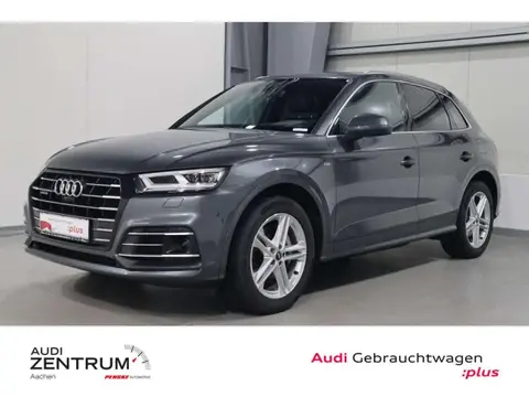 Used AUDI Q5 Hybrid 2021 Ad 