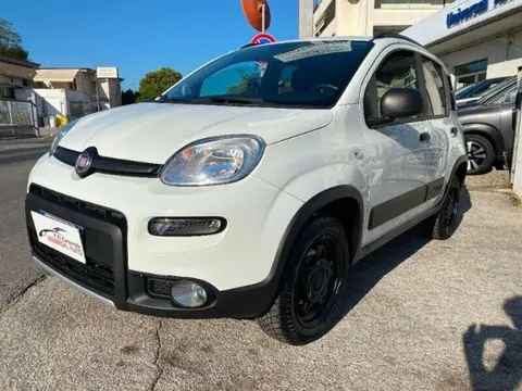 Used FIAT PANDA Petrol 2019 Ad 