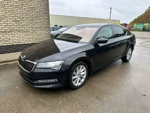 Used SKODA SUPERB Diesel 2019 Ad 