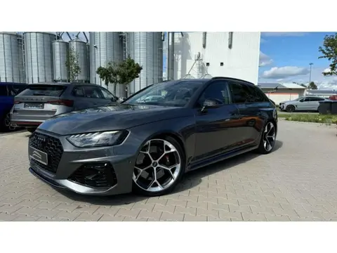 Used AUDI RS4 Petrol 2023 Ad 