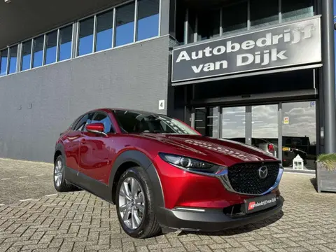 Annonce MAZDA CX-30 Essence 2020 d'occasion 