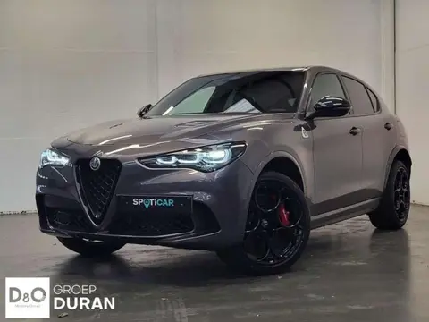 Used ALFA ROMEO STELVIO Petrol 2024 Ad 