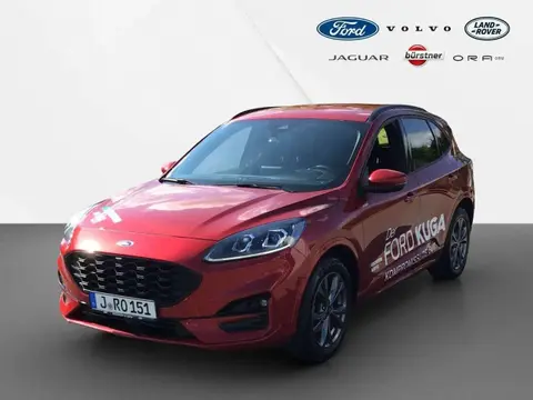 Annonce FORD KUGA Essence 2023 d'occasion 