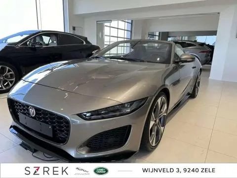 Used JAGUAR F-TYPE Petrol 2022 Ad 