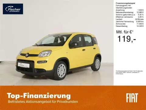 Annonce FIAT PANDA Essence 2024 d'occasion 