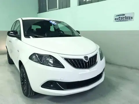 Used LANCIA YPSILON Hybrid 2024 Ad 