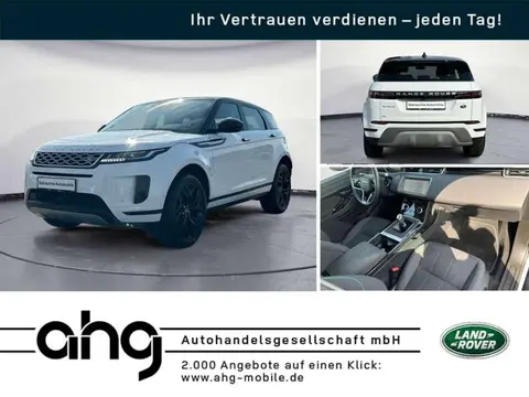 Used LAND ROVER RANGE ROVER EVOQUE Diesel 2021 Ad 