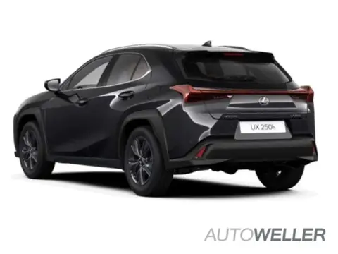 Used LEXUS UX Hybrid 2024 Ad 