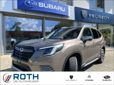 Annonce SUBARU FORESTER Essence 2024 d'occasion 