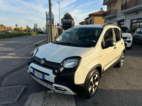 Annonce FIAT PANDA Essence 2019 d'occasion 