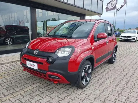 Used FIAT PANDA Hybrid 2024 Ad 