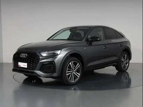 Used AUDI Q5 Hybrid 2023 Ad 