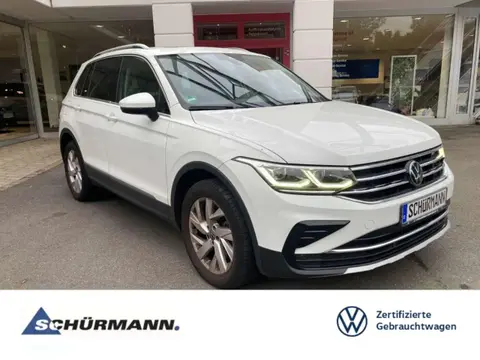 Used VOLKSWAGEN TIGUAN Hybrid 2022 Ad 